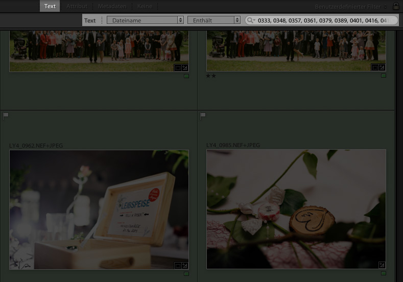 lightroom-bildnummer-detail